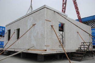 8小时修建180㎡毛坯别墅 新型建材颠覆传统，成本减半质量翻倍